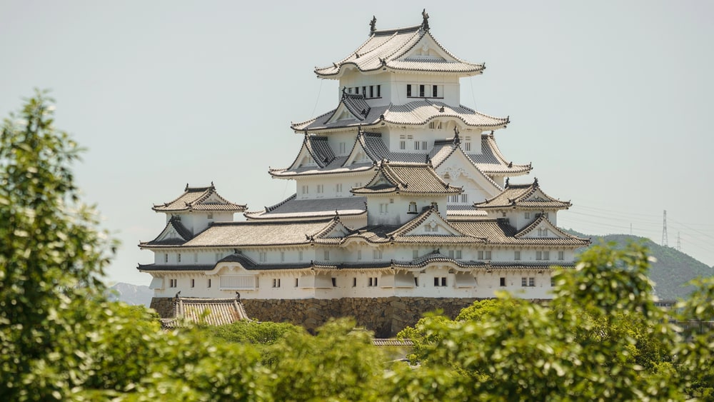 Tour Image